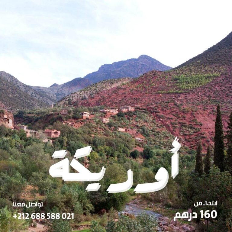أوريكة