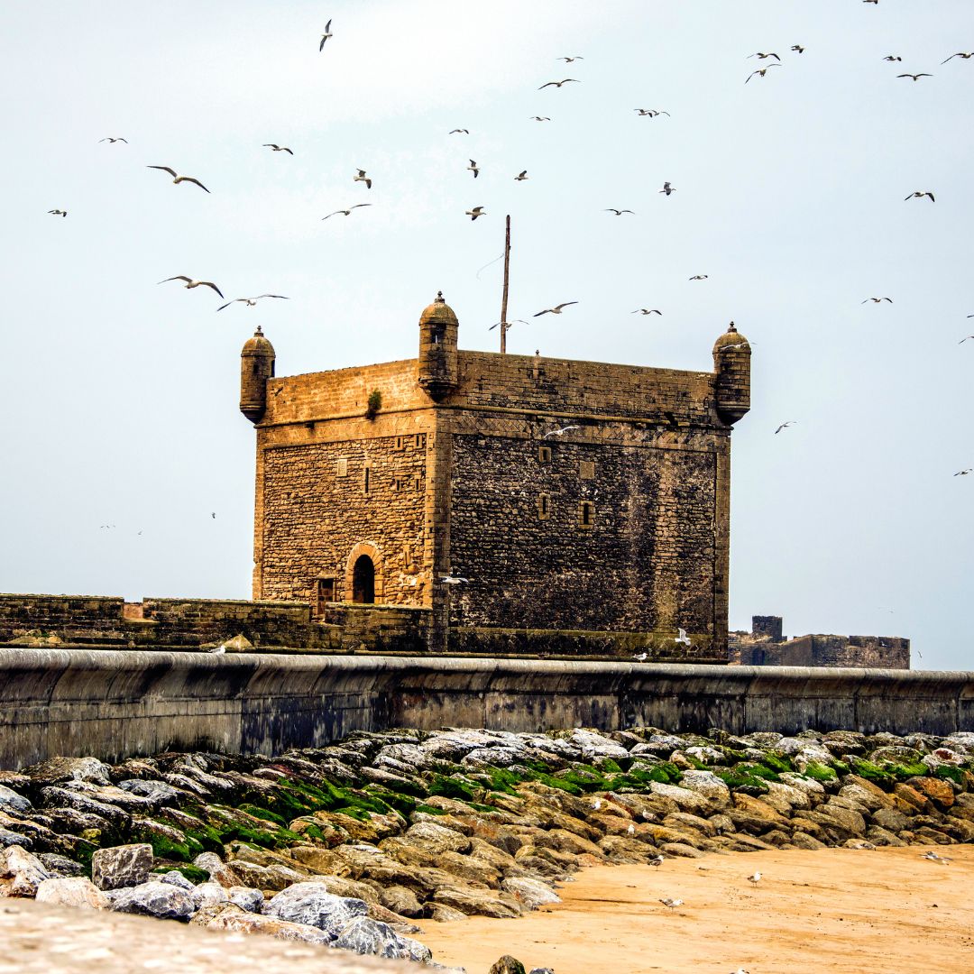 تصوير لأسوار الصويرة القديمة وواجهات البيوت البيضاء مع أبواب زرقاء تقليدية