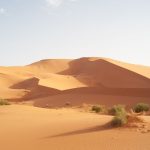 رحلة تخييم مرزوكة 2025