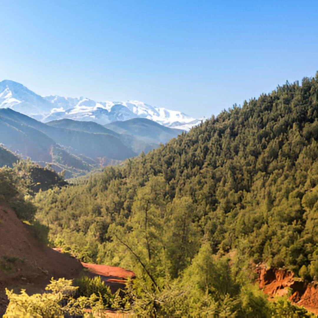 شلالات وادي أوريكا magnifiques cascades à Ourika