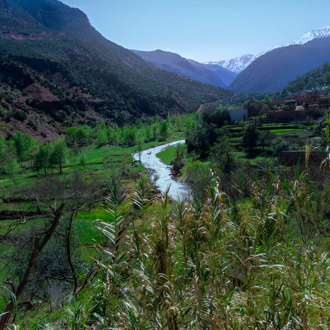 نهر أوريكا بين جبال الأطلس rivière Ourika au cœur de l’Atlas marocain